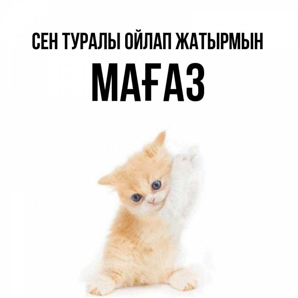 Күн сайын ашық хат с именем, МАҒАЗ Сен туралы ойлап жатырмын зверушки и милота Онлайн тегін жүктеп алу тілектері бар керемет карта 
