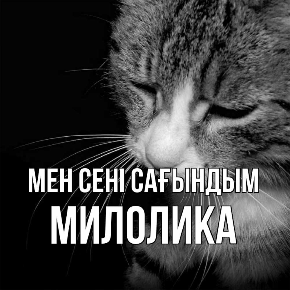 Күн сайын ашық хат с именем, Милолика Мен сені сағындым мне скучно Онлайн тегін жүктеп алу тілектері бар керемет карта 