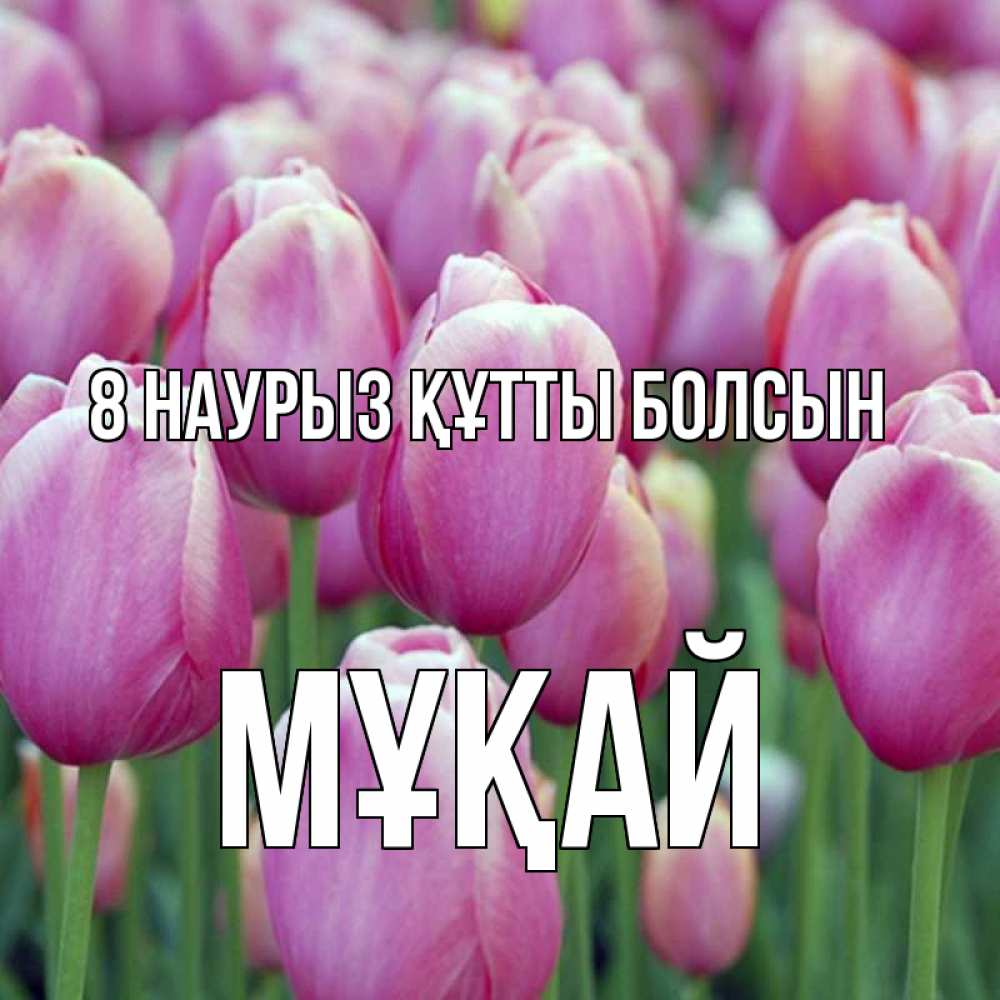 Күн сайын ашық хат с именем, Мұқай 8 наурыз құтты болсын на международный женский день 3 Онлайн тегін жүктеп алу тілектері бар керемет карта 