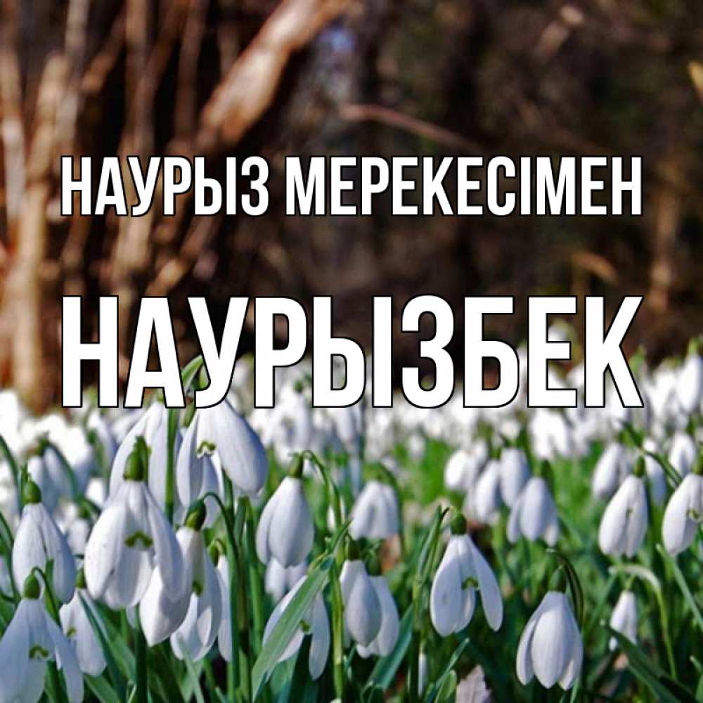 Күн сайын ашық хат с именем, Наурызбек Наурыз мерекесімен с подснежниками 1 Онлайн тегін жүктеп алу тілектері бар керемет карта 