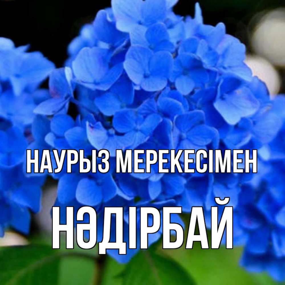 Күн сайын ашық хат с именем, НӘДІРБАЙ Наурыз мерекесімен синие цветы Онлайн тегін жүктеп алу тілектері бар керемет карта 