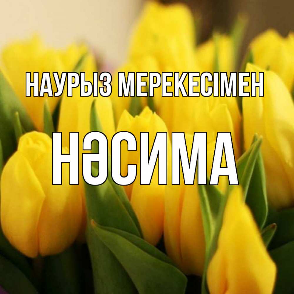 Күн сайын ашық хат с именем, НӘСИМА Наурыз мерекесімен цветы Онлайн тегін жүктеп алу тілектері бар керемет карта 
