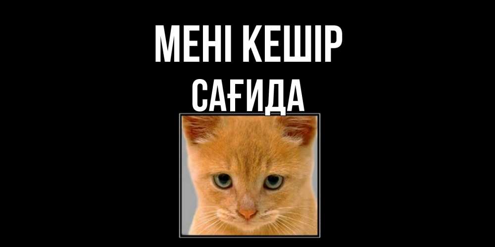 Күн сайын ашық хат с именем, САҒИДА Мені кешір рыжий грустный кот просит прощения Онлайн тегін жүктеп алу тілектері бар керемет карта 