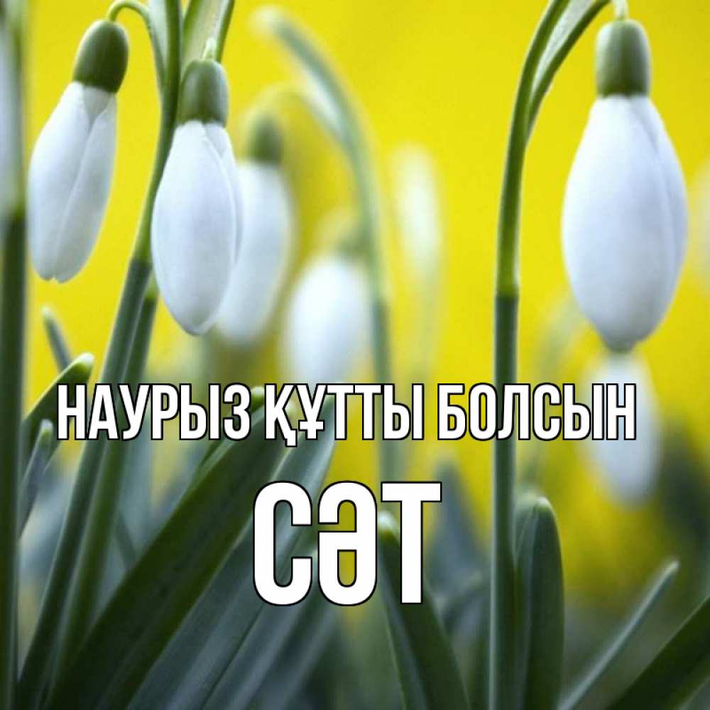 Күн сайын ашық хат с именем, СӘТ Наурыз құтты болсын весенние цветы Онлайн тегін жүктеп алу тілектері бар керемет карта 