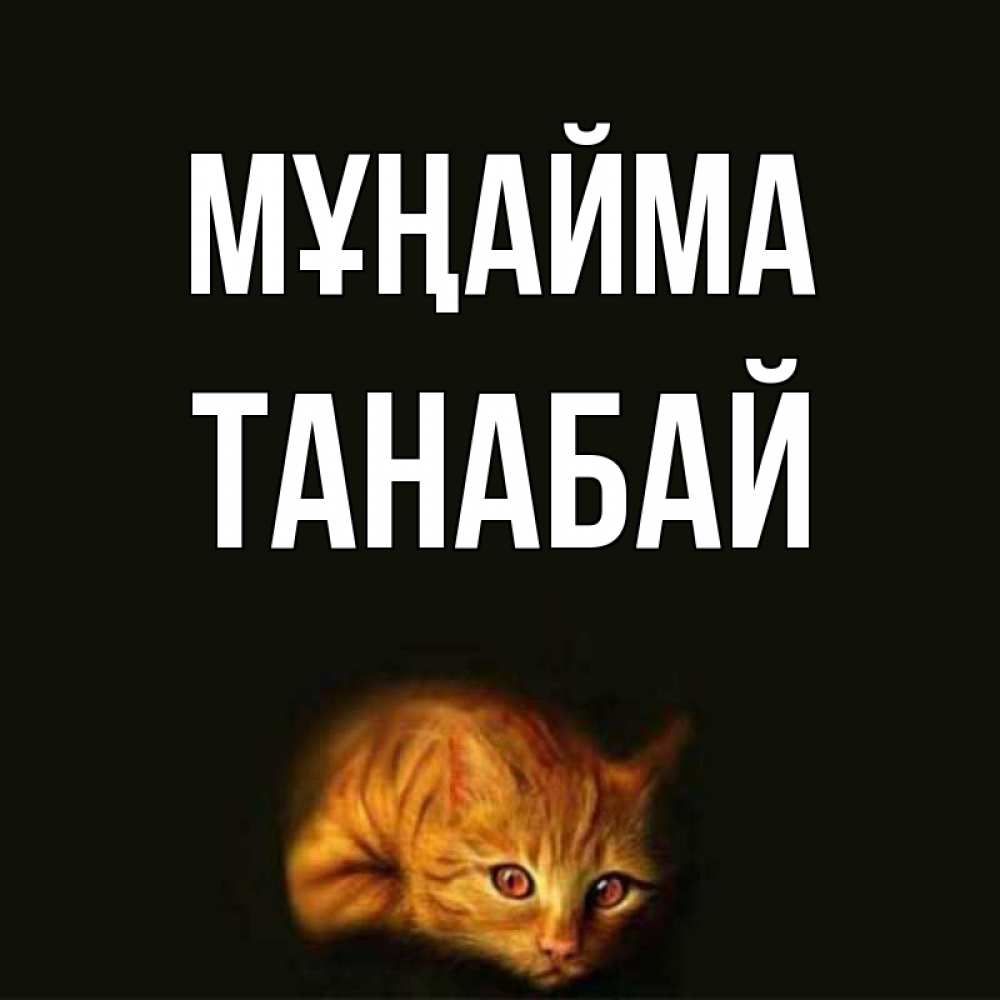 Күн сайын ашық хат с именем, ТАНАБАЙ Мұңайма лежащий кот в темноте Онлайн тегін жүктеп алу тілектері бар керемет карта 