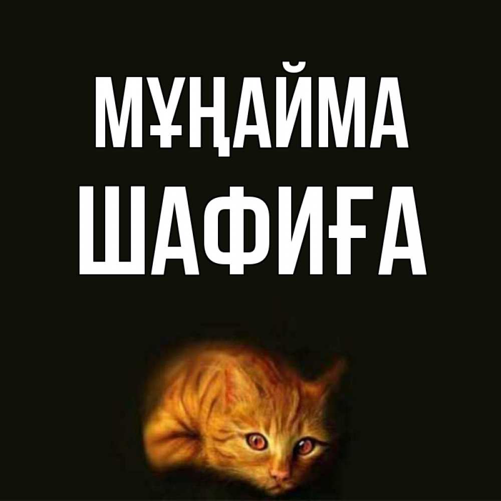 Күн сайын ашық хат с именем, ШАФИҒА Мұңайма лежащий кот в темноте Онлайн тегін жүктеп алу тілектері бар керемет карта 