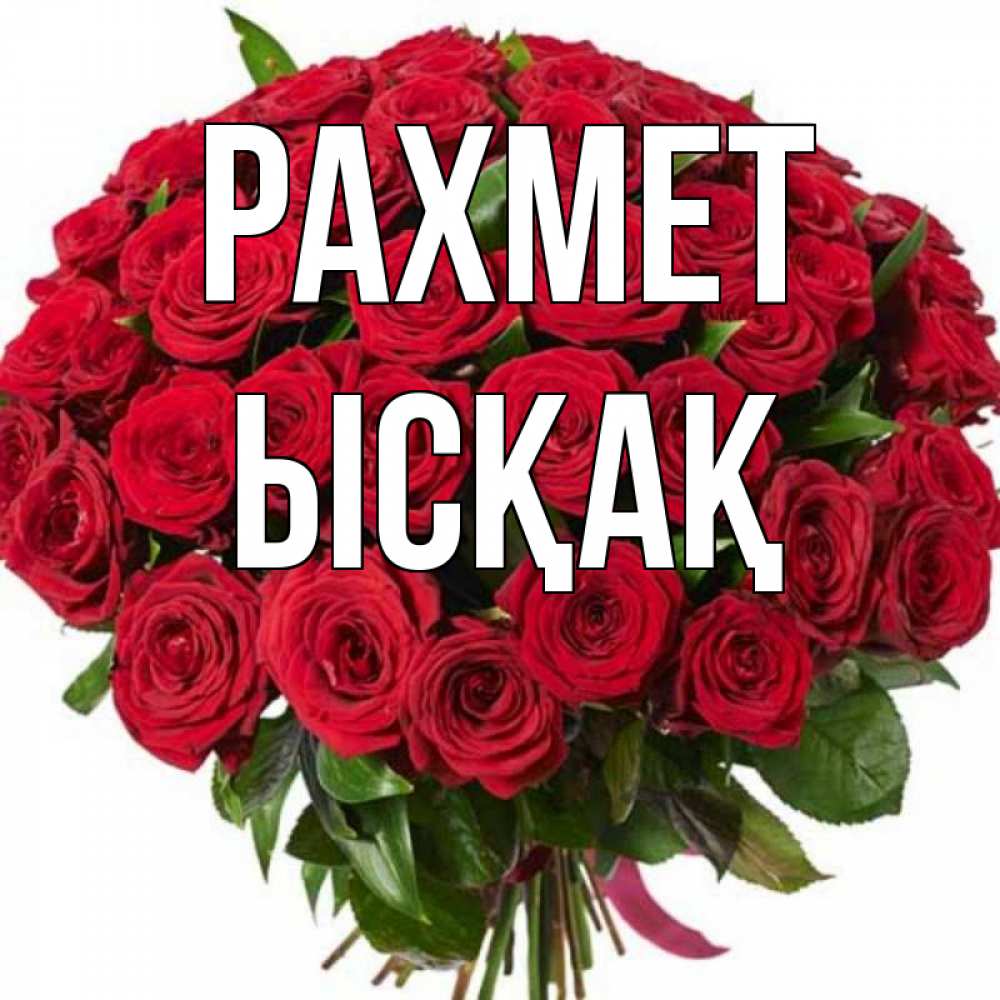 Күн сайын ашық хат с именем, ЫСҚАҚ рахмет букет красных роз Онлайн тегін жүктеп алу тілектері бар керемет карта 