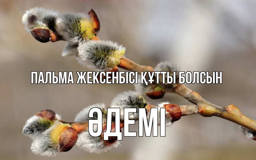 Күн сайын ашық хат с именем, ӘДЕМІ Пальма жексенбісі құтты болсын Верба Онлайн тегін жүктеп алу тілектері бар керемет карта 