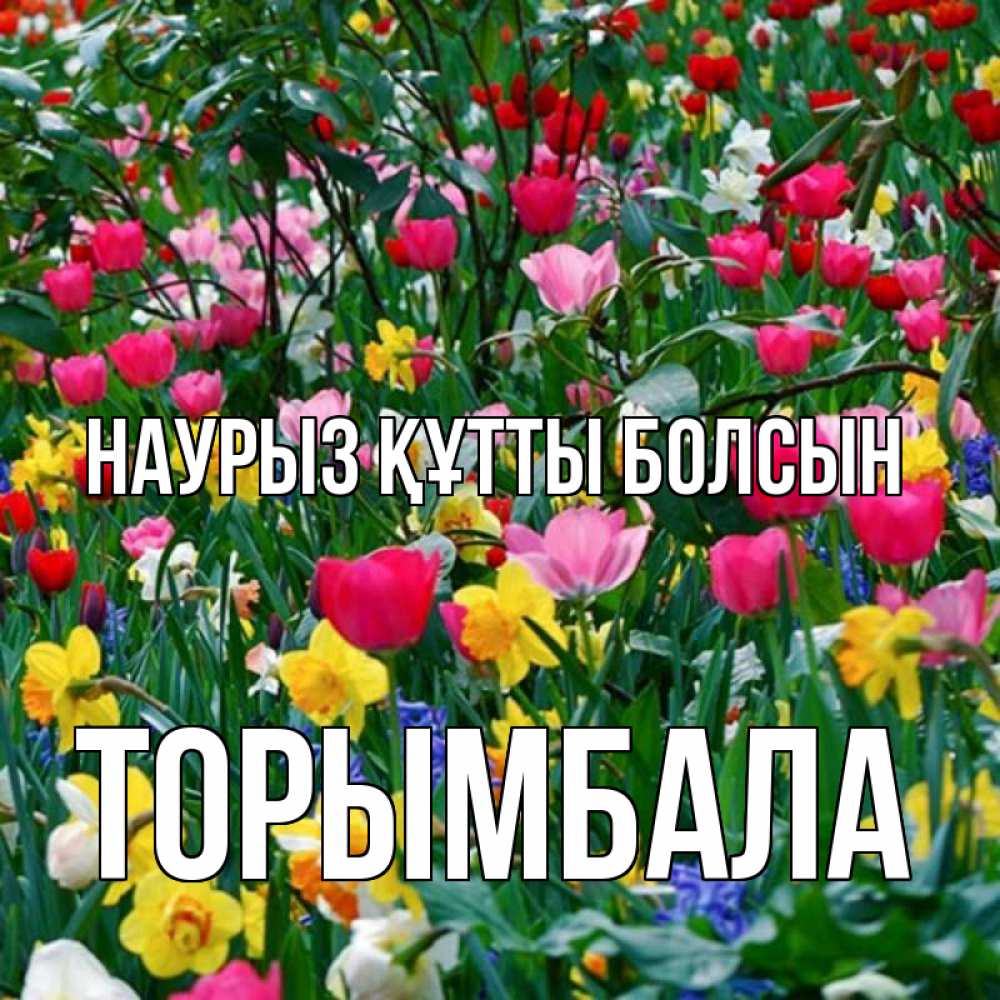 Күн сайын ашық хат с именем, ТОРЫМБАЛА Наурыз құтты болсын с наурызом поздравления для женщины Онлайн тегін жүктеп алу тілектері бар керемет карта 
