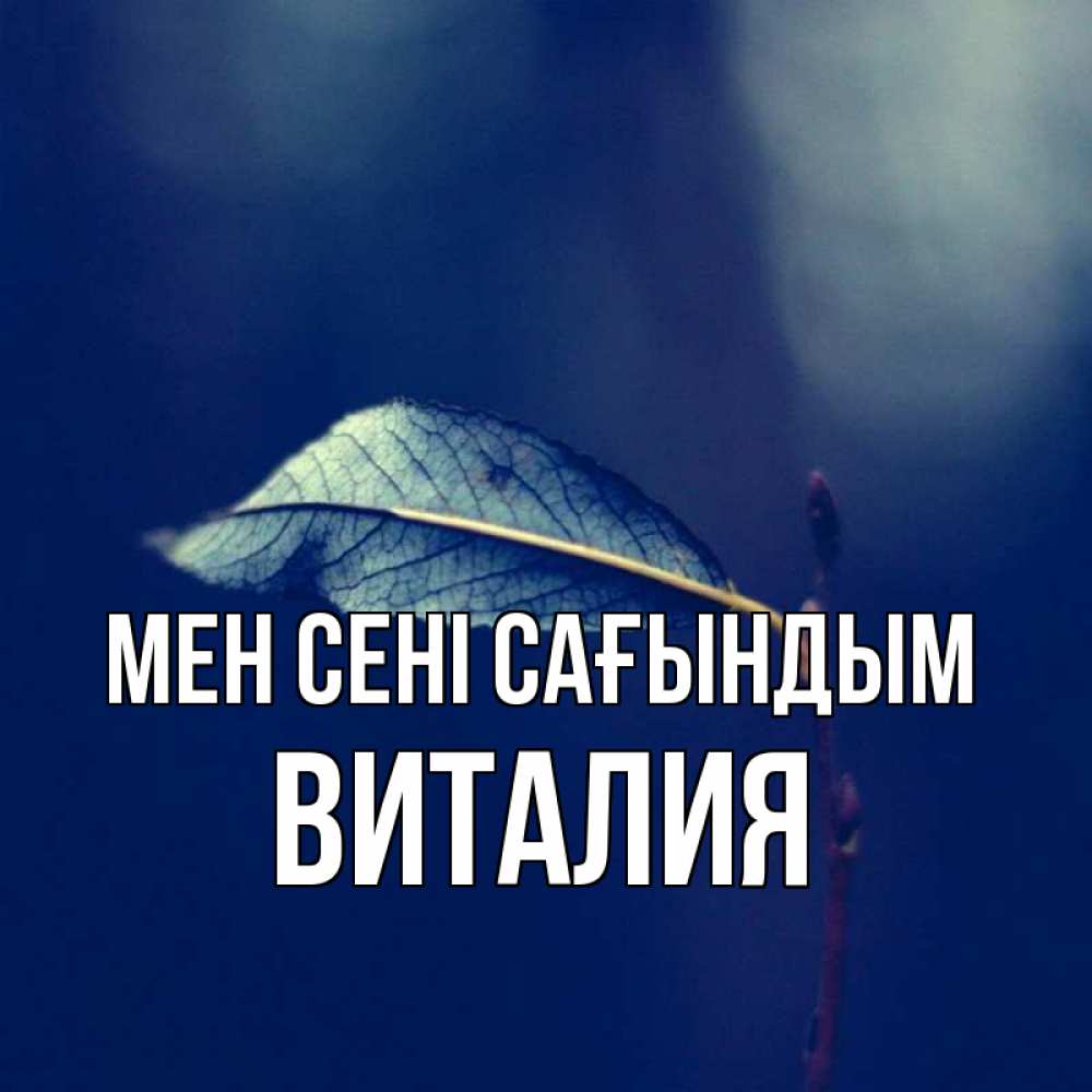 Күн сайын ашық хат с именем, Виталия Мен сені сағындым одна ветка 1 Онлайн тегін жүктеп алу тілектері бар керемет карта 