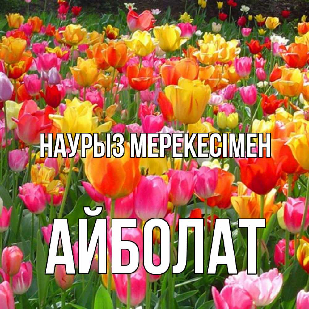 Күн сайын ашық хат с именем, Айболат Наурыз мерекесімен праздник весны наурыз 4 Онлайн тегін жүктеп алу тілектері бар керемет карта 