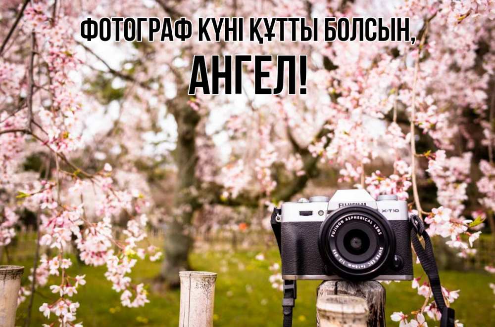 Күн сайын ашық хат с именем, Ангел Фотограф күні құтты болсын сирень с днем фотографа, фотоаппарат Онлайн тегін жүктеп алу тілектері бар керемет карта 