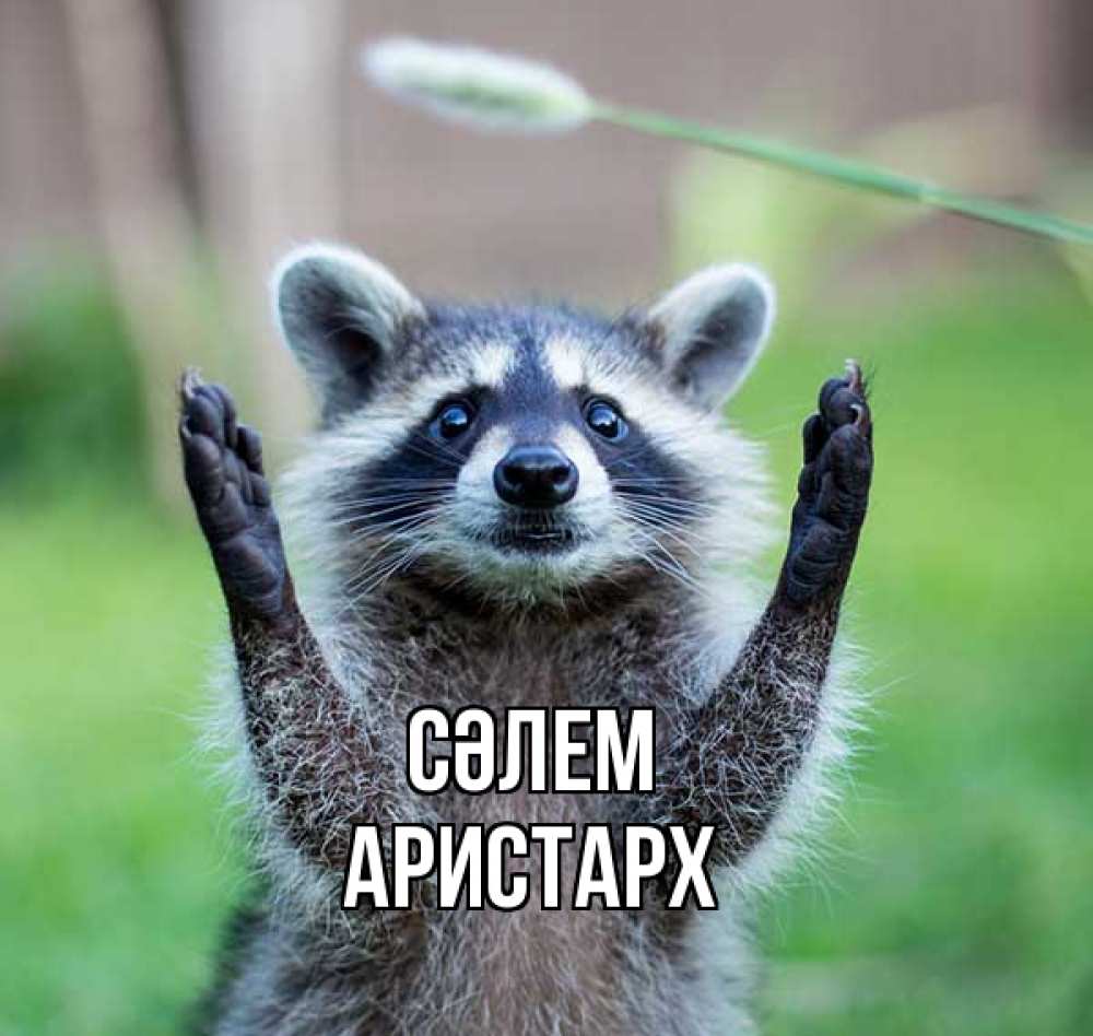 Күн сайын ашық хат с именем, Аристарх Сәлем животные Онлайн тегін жүктеп алу тілектері бар керемет карта 