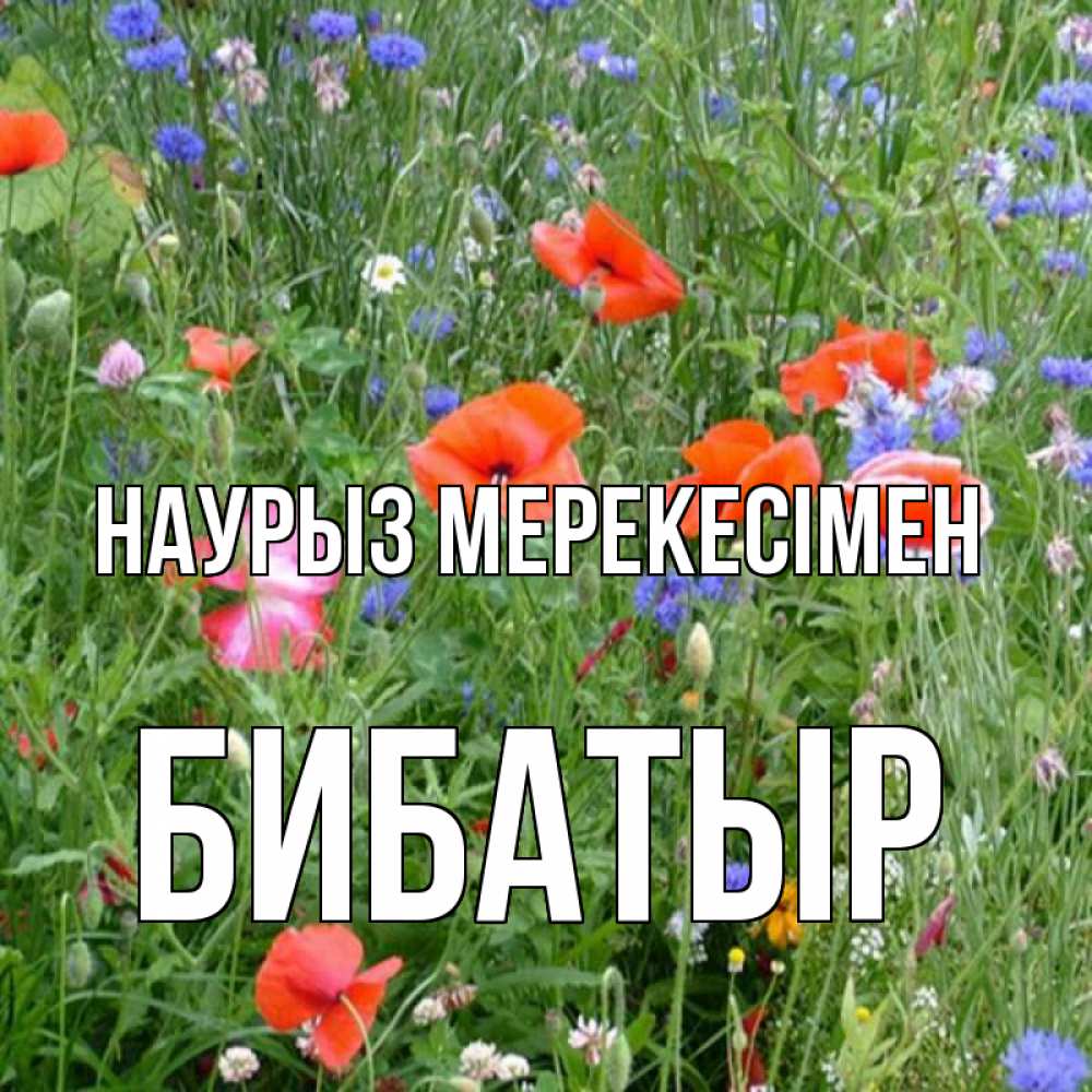 Күн сайын ашық хат с именем, Бибатыр Наурыз мерекесімен праздник весны наурыз супер открытка Онлайн тегін жүктеп алу тілектері бар керемет карта 