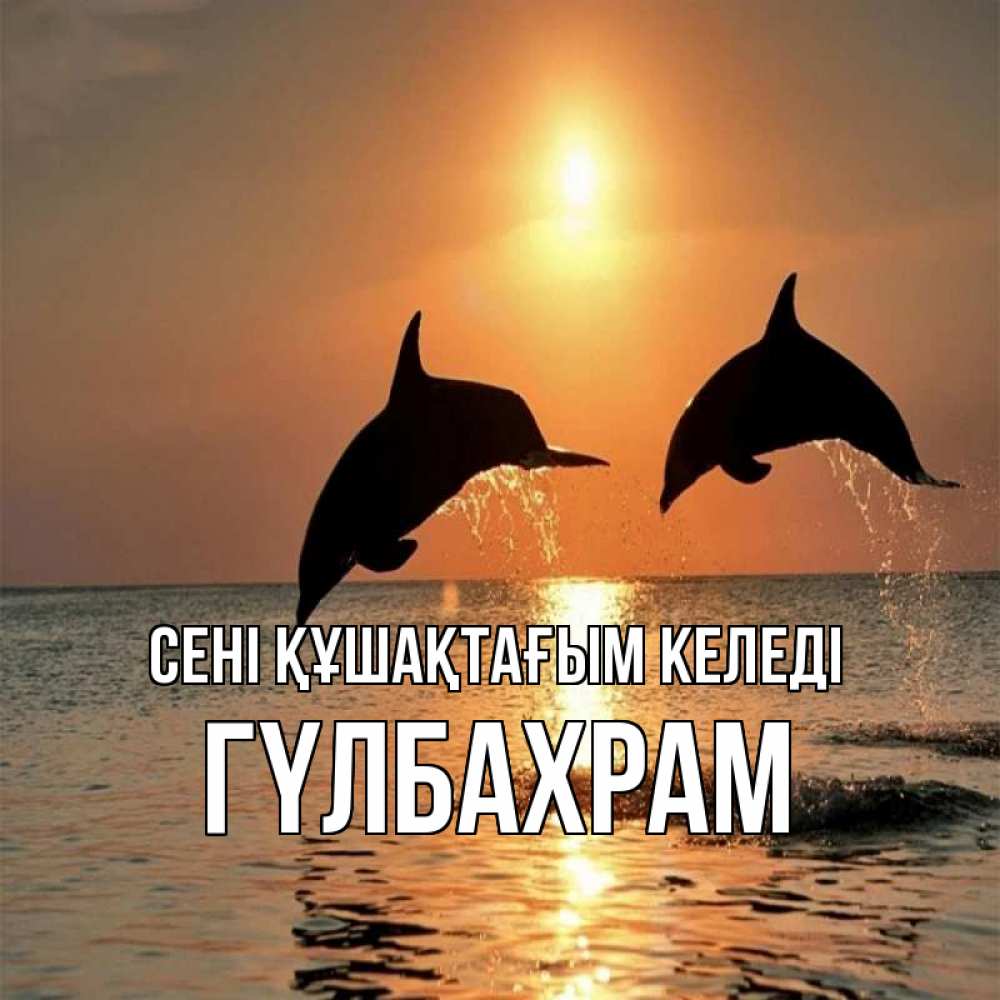 Күн сайын ашық хат с именем, ГҮЛБАХРАМ сені құшақтағым келеді рыбы на закате Онлайн тегін жүктеп алу тілектері бар керемет карта 