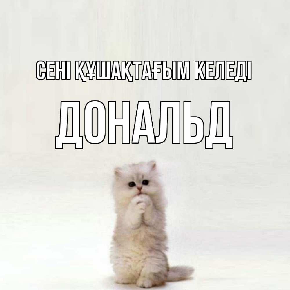 Күн сайын ашық хат с именем, Дональд сені құшақтағым келеді открытки с креативными подписями Онлайн тегін жүктеп алу тілектері бар керемет карта 