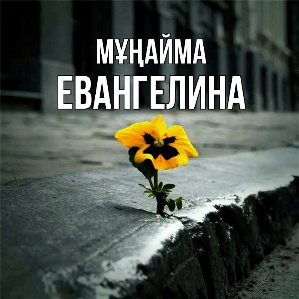 Күн сайын ашық хат с именем, Евангелина Мұңайма не сдавайся Онлайн тегін жүктеп алу тілектері бар керемет карта 