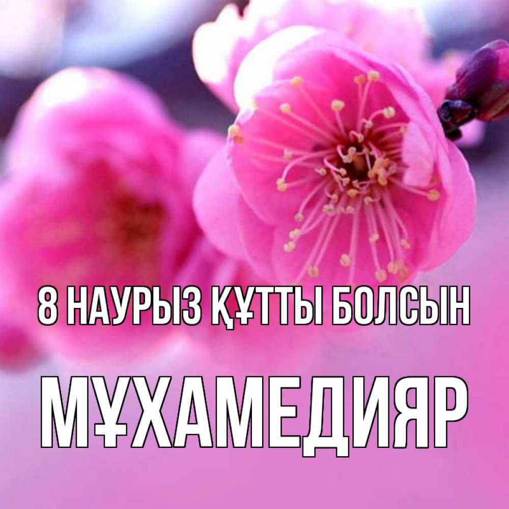 Күн сайын ашық хат с именем, МҰХАМЕДИЯР 8 наурыз құтты болсын международный женский день Онлайн тегін жүктеп алу тілектері бар керемет карта 