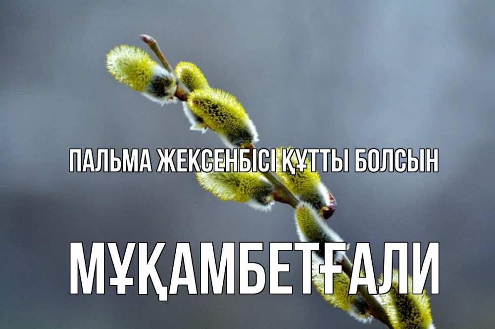 Күн сайын ашық хат с именем, Мұқамбетғали Пальма жексенбісі құтты болсын верба Онлайн тегін жүктеп алу тілектері бар керемет карта 
