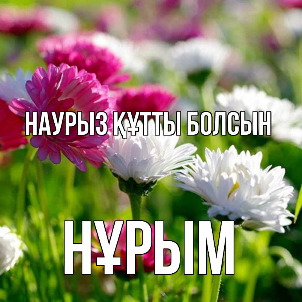 Күн сайын ашық хат с именем, Нұрым Наурыз құтты болсын наурыз Онлайн тегін жүктеп алу тілектері бар керемет карта 