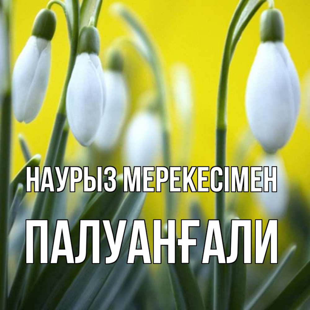 Күн сайын ашық хат с именем, ПАЛУАНҒАЛИ Наурыз мерекесімен весенние цветы Онлайн тегін жүктеп алу тілектері бар керемет карта 