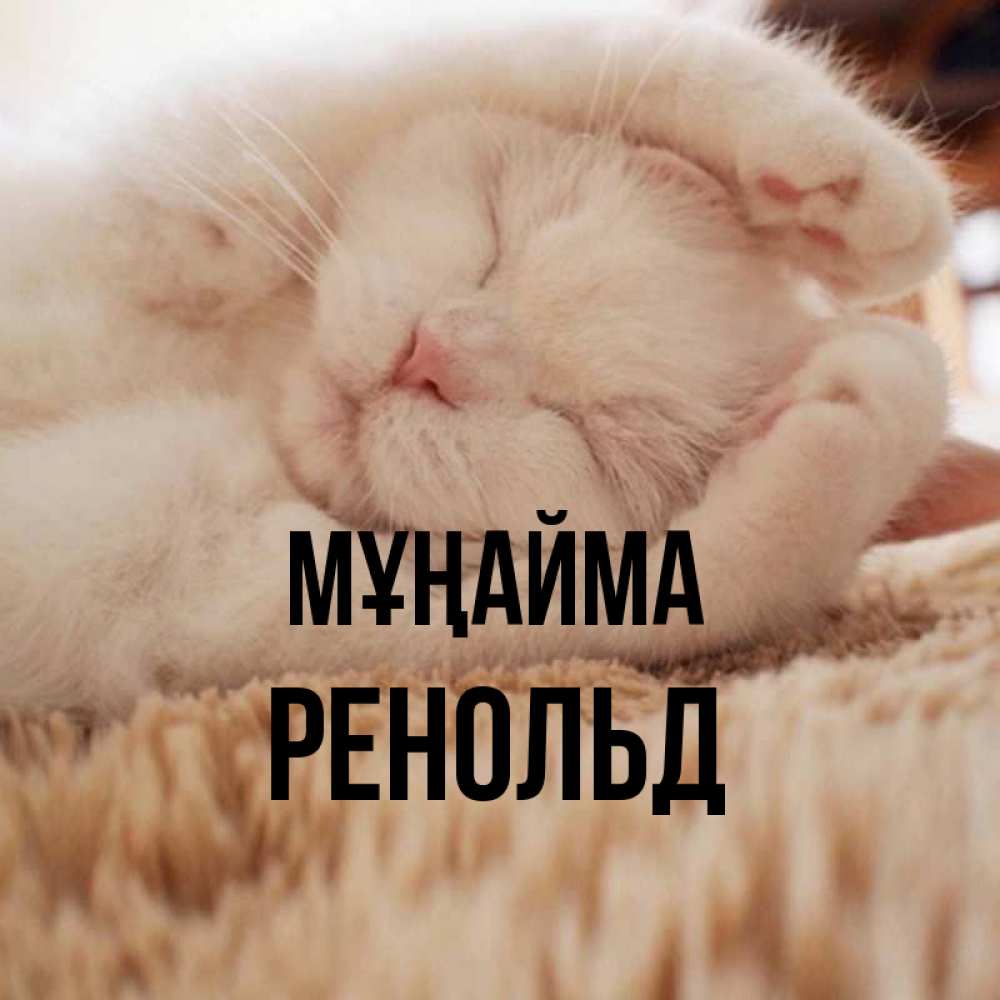 Күн сайын ашық хат с именем, Ренольд Мұңайма Котенок спит Онлайн тегін жүктеп алу тілектері бар керемет карта 