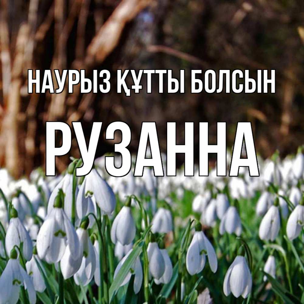 Күн сайын ашық хат с именем, Рузанна Наурыз құтты болсын с подснежниками 1 Онлайн тегін жүктеп алу тілектері бар керемет карта 