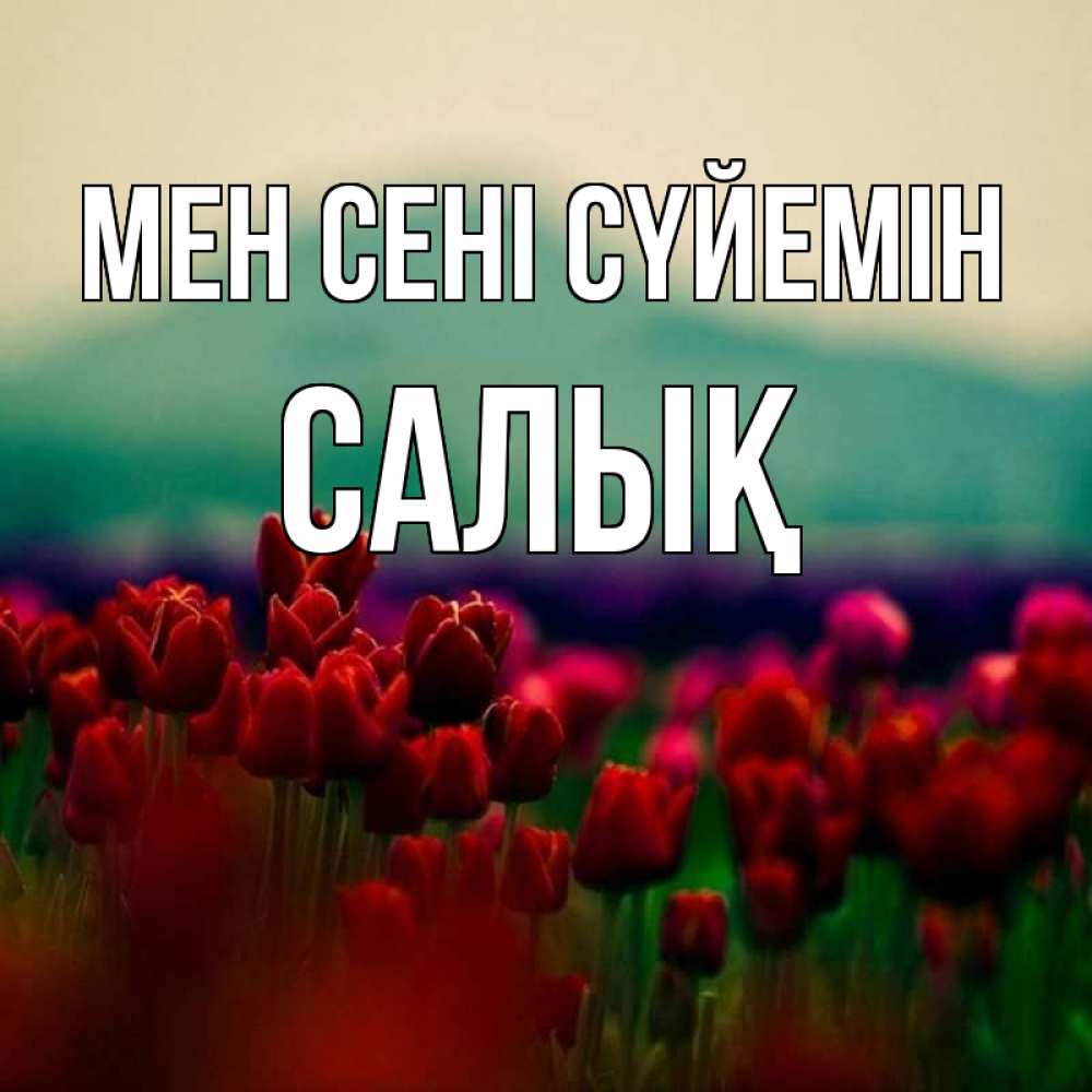 Күн сайын ашық хат с именем, САЛЫҚ Мен сені сүйемін тюльпаны 4 Онлайн тегін жүктеп алу тілектері бар керемет карта 
