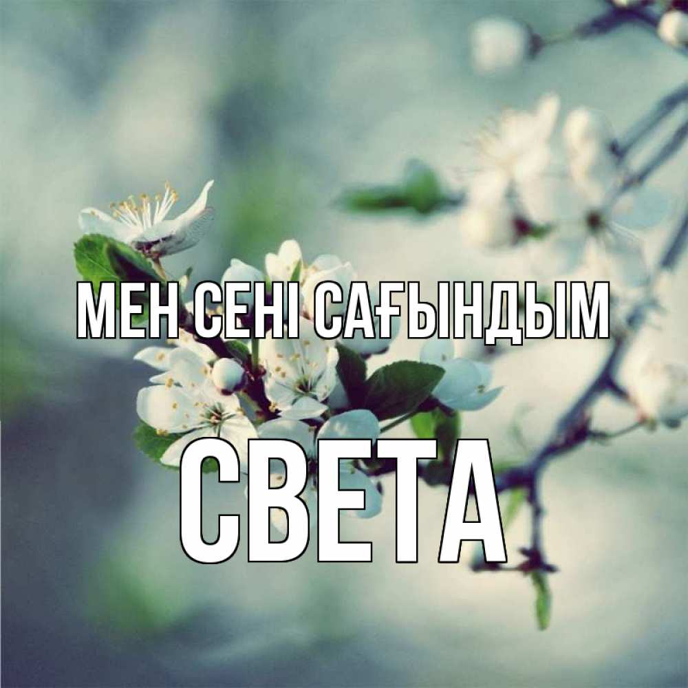 Күн сайын ашық хат с именем, Света Мен сені сағындым весна Онлайн тегін жүктеп алу тілектері бар керемет карта 