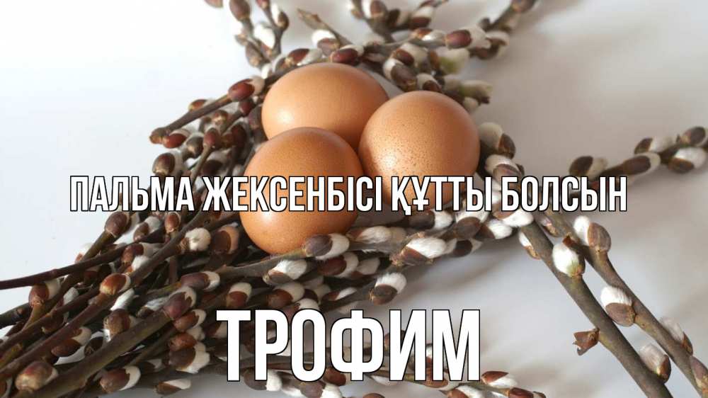 Күн сайын ашық хат с именем, Трофим Пальма жексенбісі құтты болсын верба 1 Онлайн тегін жүктеп алу тілектері бар керемет карта 