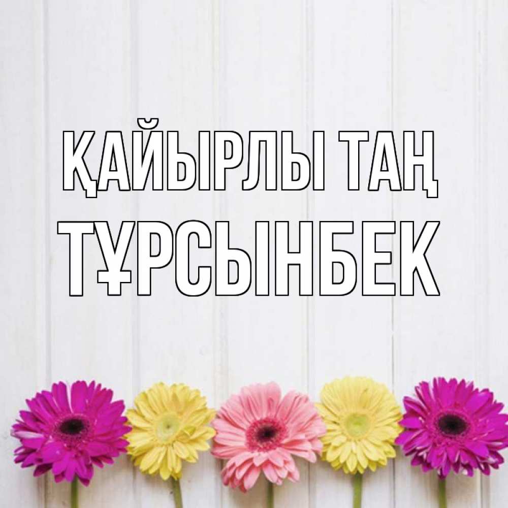 Күн сайын ашық хат с именем, ТҰРСЫНБЕК Қайырлы таң красный желтый и розовый цветок Онлайн тегін жүктеп алу тілектері бар керемет карта 