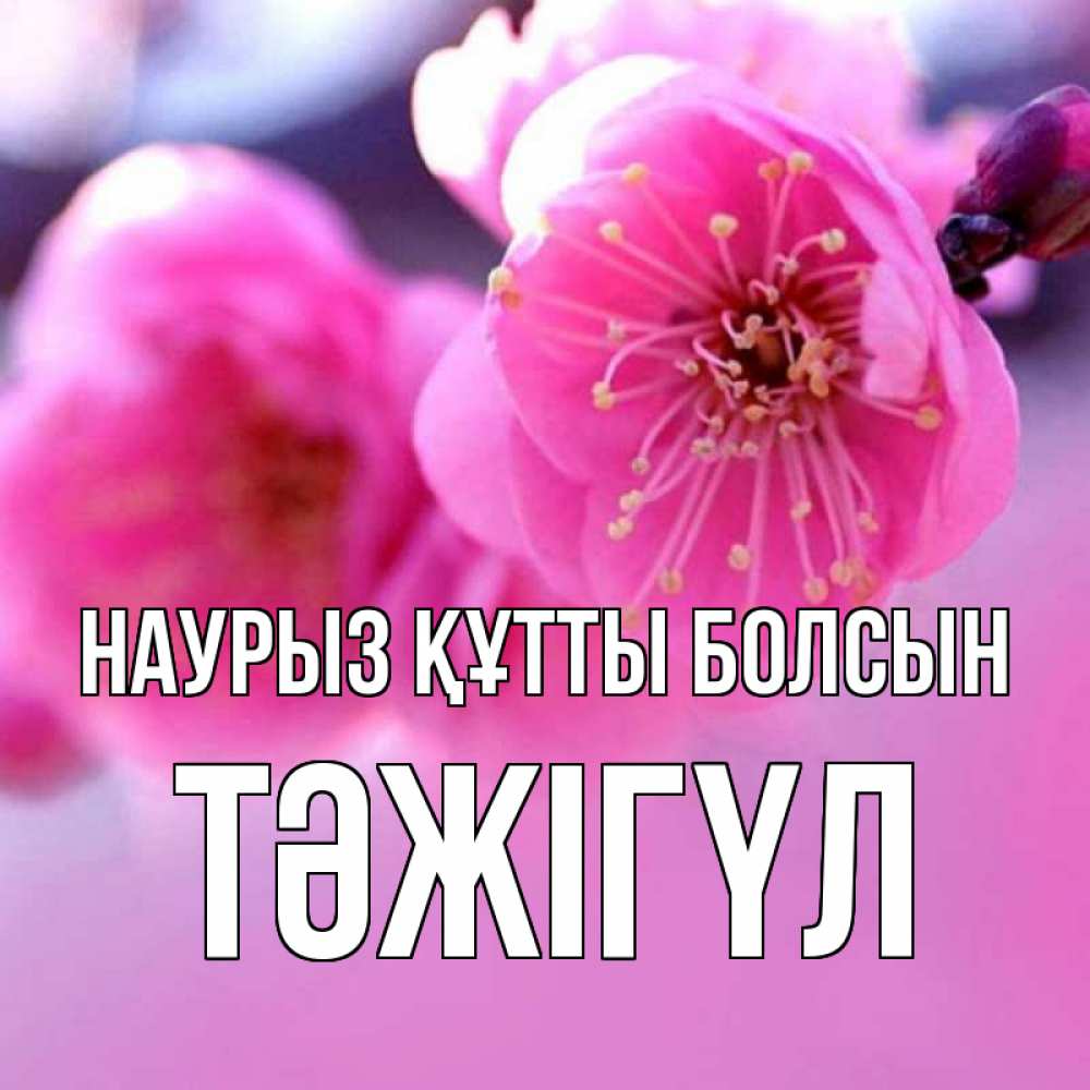 Күн сайын ашық хат с именем, ТӘЖІГҮЛ Наурыз құтты болсын наурыз мейрам Онлайн тегін жүктеп алу тілектері бар керемет карта 