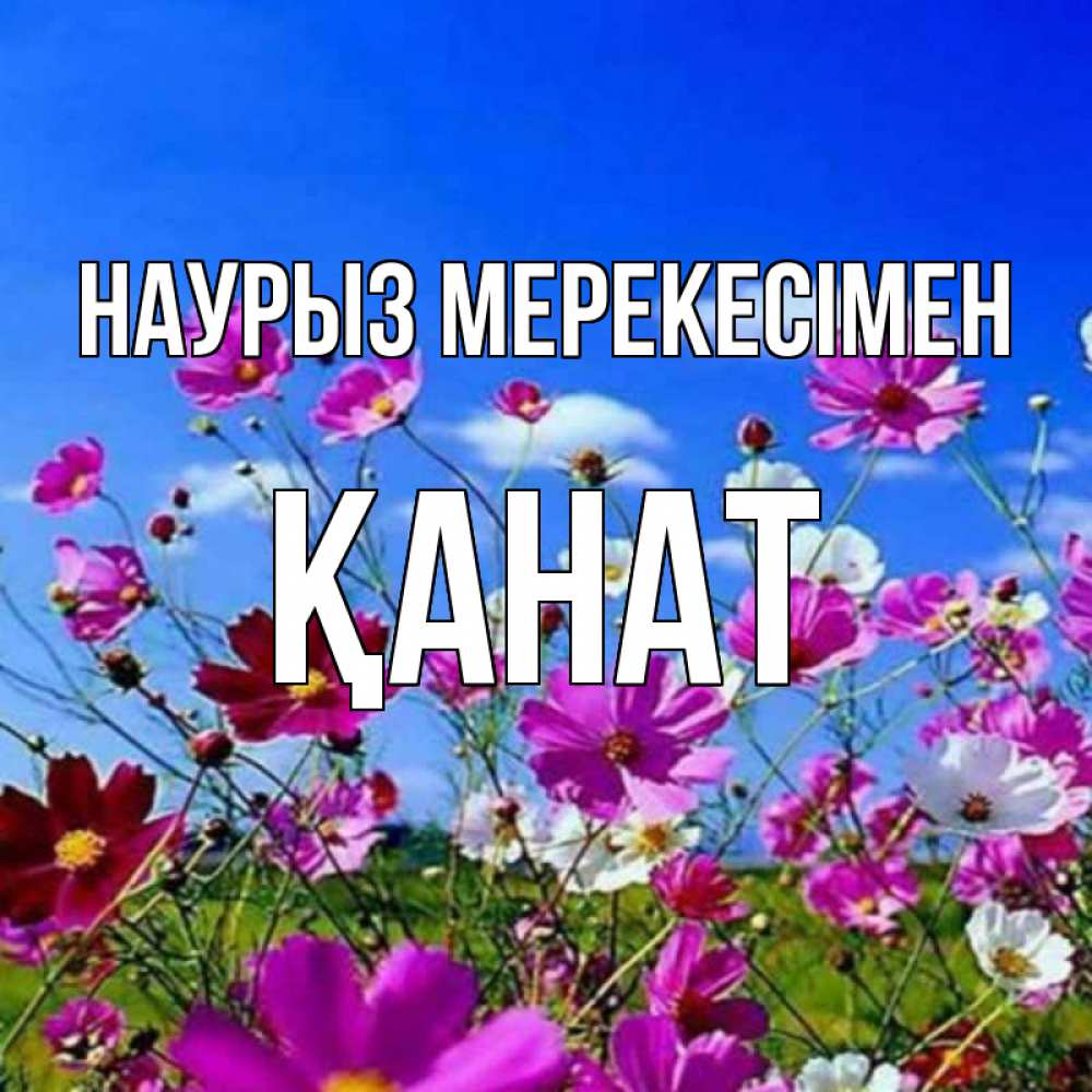 Күн сайын ашық хат с именем, Қанат Наурыз мерекесімен цветы Онлайн тегін жүктеп алу тілектері бар керемет карта 