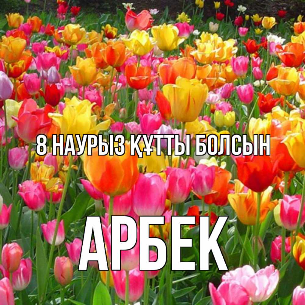Күн сайын ашық хат с именем, Арбек 8 наурыз құтты болсын на международный женский день Онлайн тегін жүктеп алу тілектері бар керемет карта 