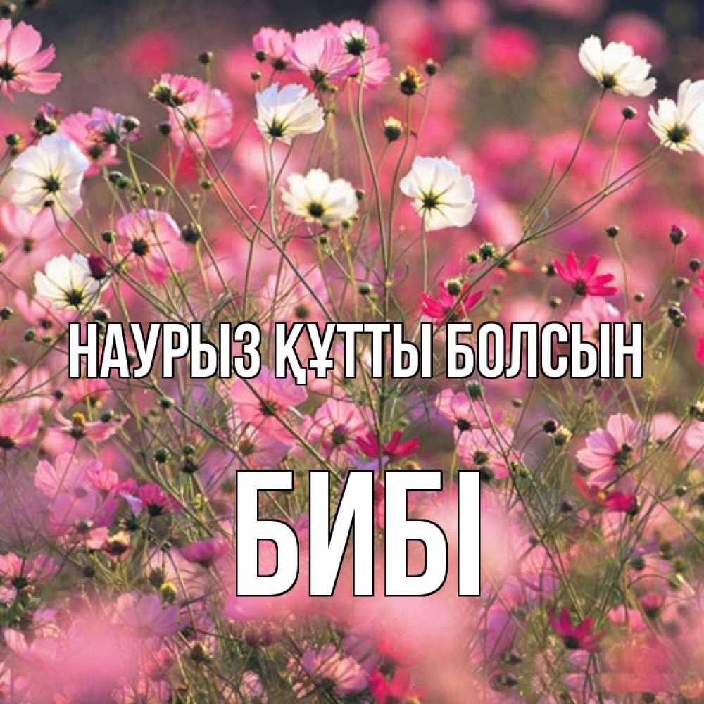 Күн сайын ашық хат с именем, БИБІ Наурыз құтты болсын красиво 1 Онлайн тегін жүктеп алу тілектері бар керемет карта 
