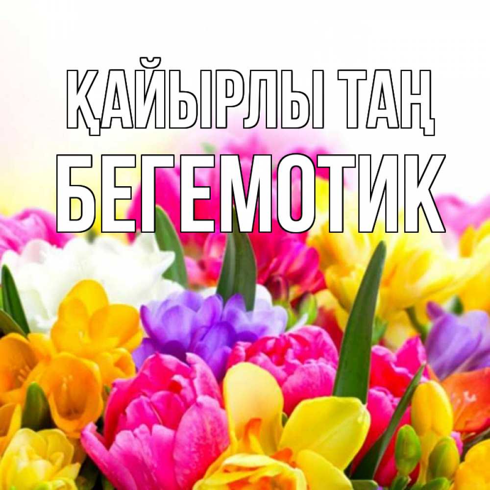 Күн сайын ашық хат с именем, Бегемотик Қайырлы таң создать открытку со свое подписью Онлайн тегін жүктеп алу тілектері бар керемет карта 