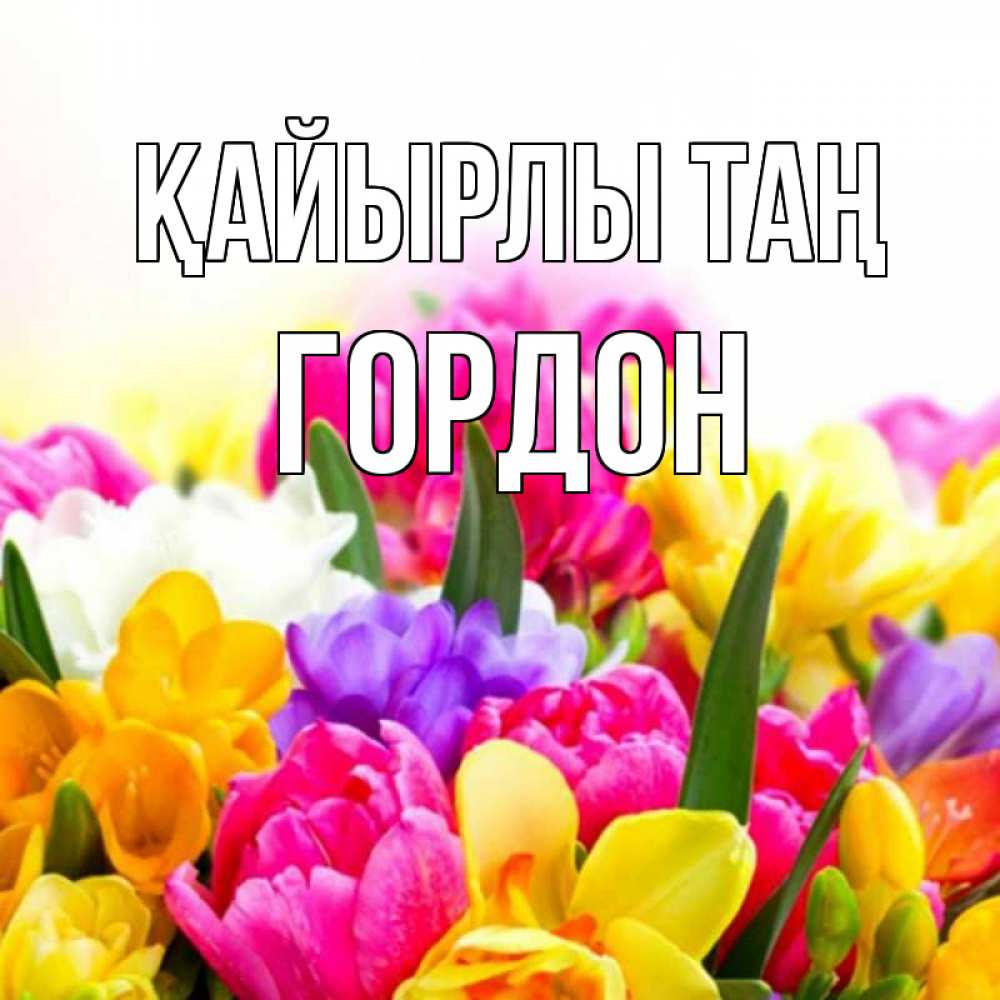 Күн сайын ашық хат с именем, Гордон Қайырлы таң создать открытку со свое подписью Онлайн тегін жүктеп алу тілектері бар керемет карта 