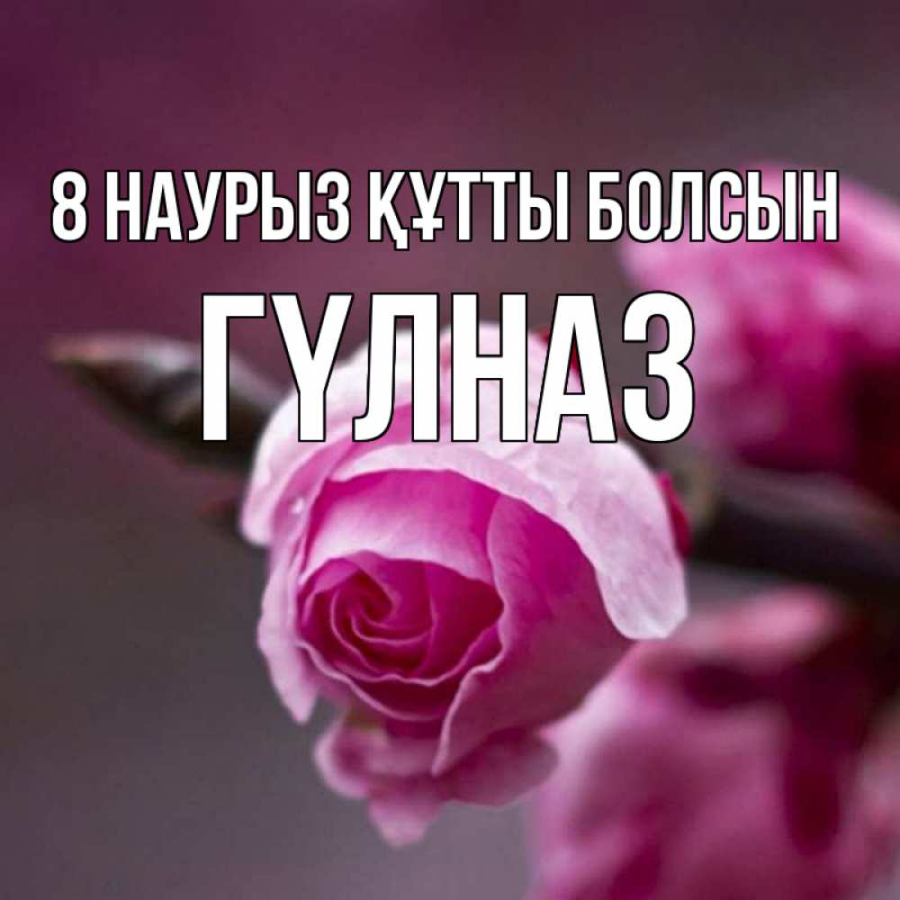 Күн сайын ашық хат с именем, ГҮЛНАЗ 8 наурыз құтты болсын весна Онлайн тегін жүктеп алу тілектері бар керемет карта 