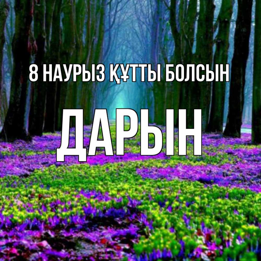 Күн сайын ашық хат с именем, Дарын 8 наурыз құтты болсын фиолетовые цветы в лесу 1 Онлайн тегін жүктеп алу тілектері бар керемет карта 