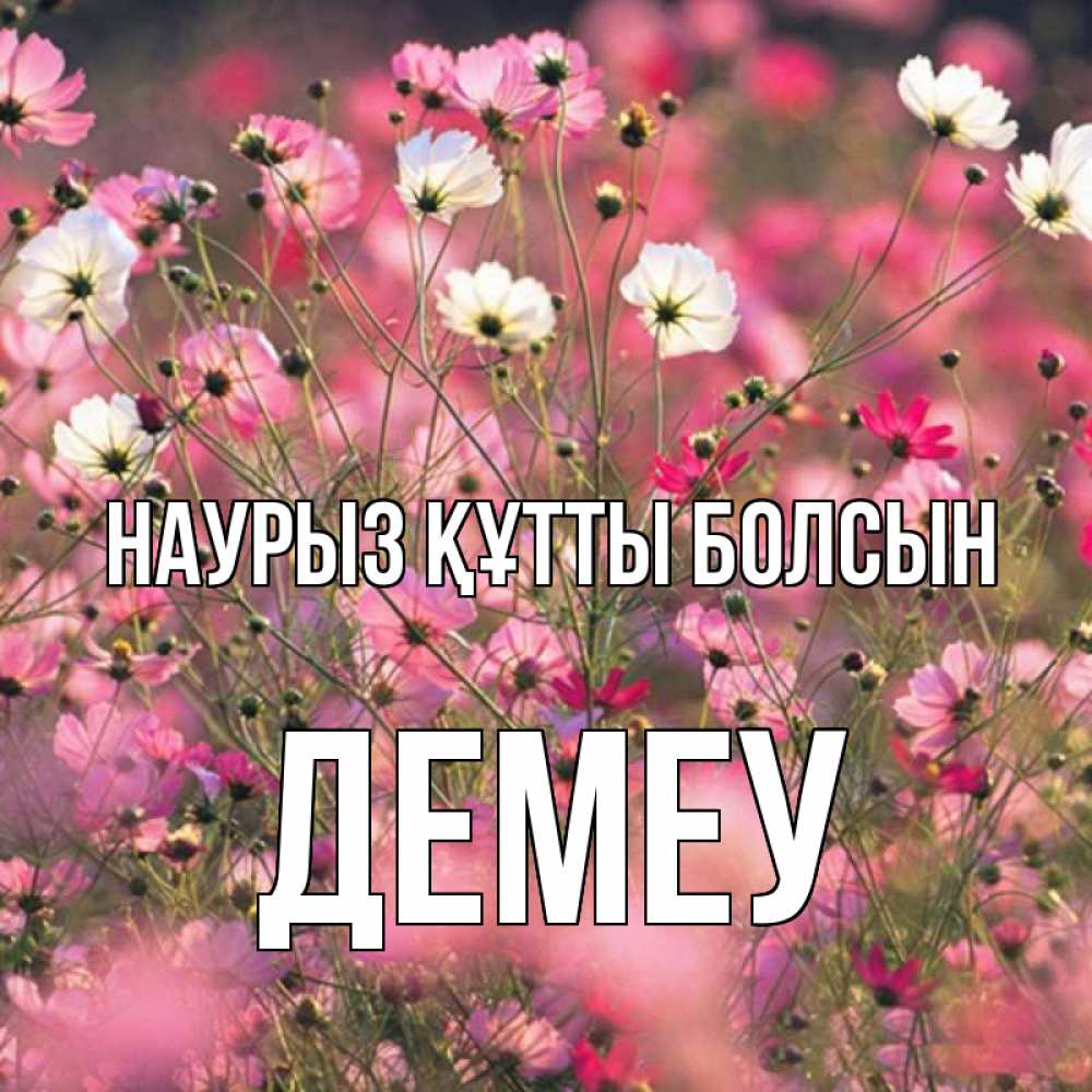 Күн сайын ашық хат с именем, Демеу Наурыз құтты болсын красиво 1 Онлайн тегін жүктеп алу тілектері бар керемет карта 