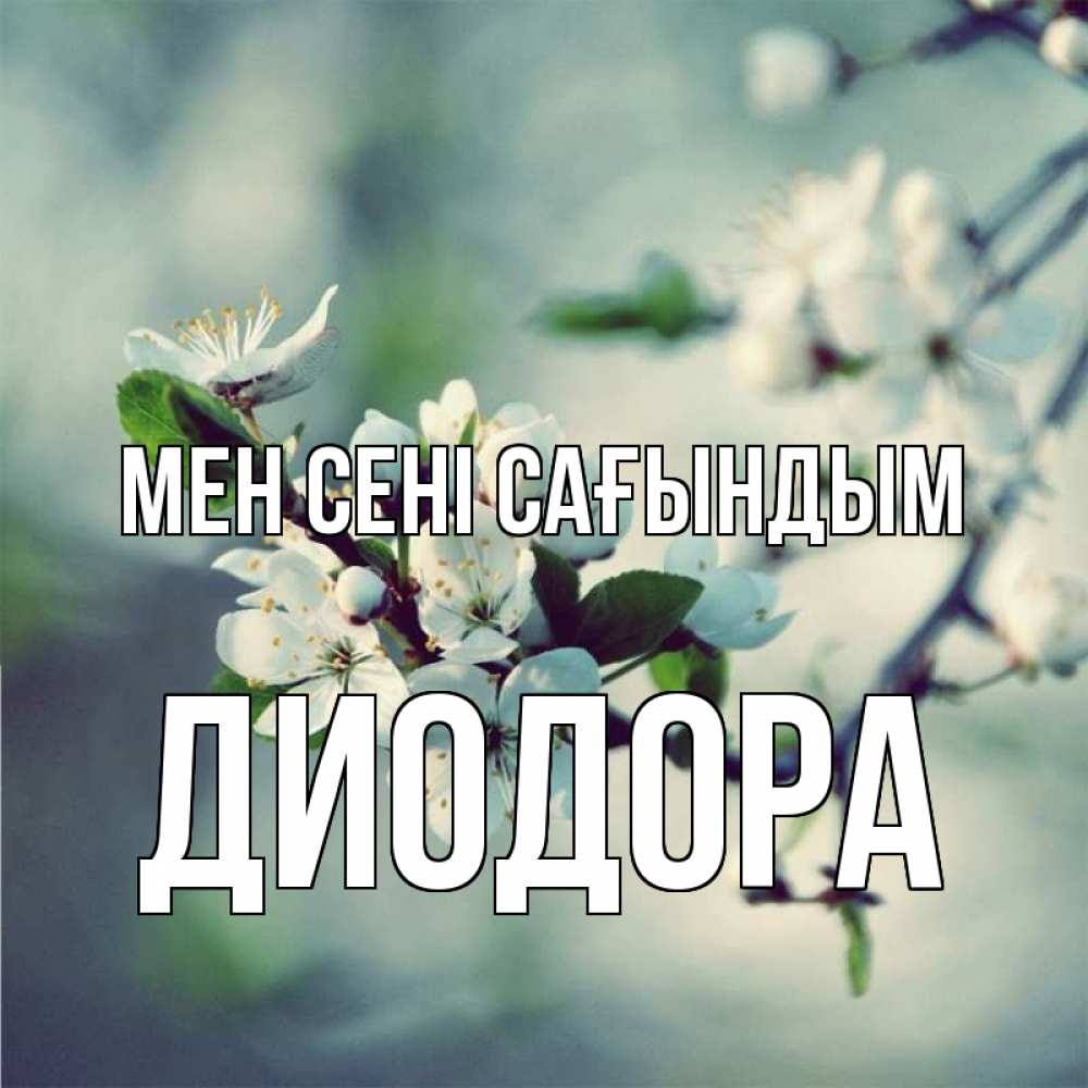 Күн сайын ашық хат с именем, Диодора Мен сені сағындым весна Онлайн тегін жүктеп алу тілектері бар керемет карта 