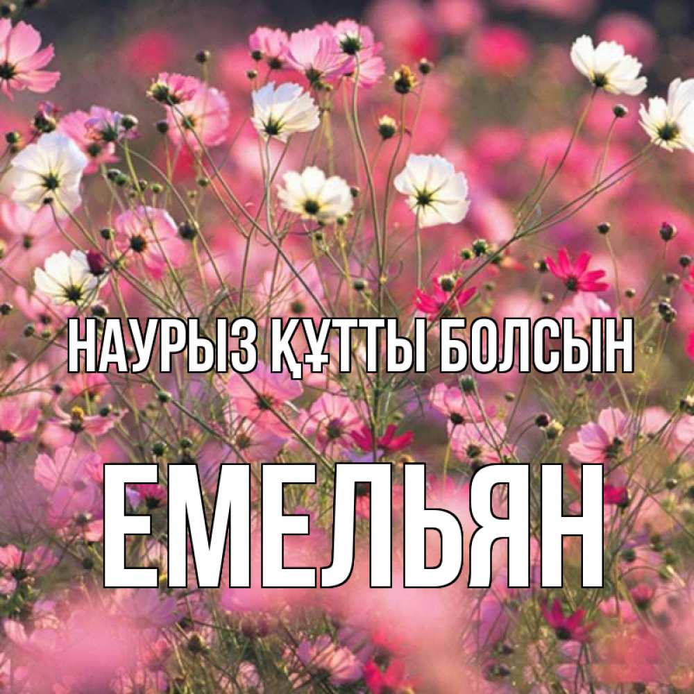 Күн сайын ашық хат с именем, Емельян Наурыз құтты болсын красиво 1 Онлайн тегін жүктеп алу тілектері бар керемет карта 