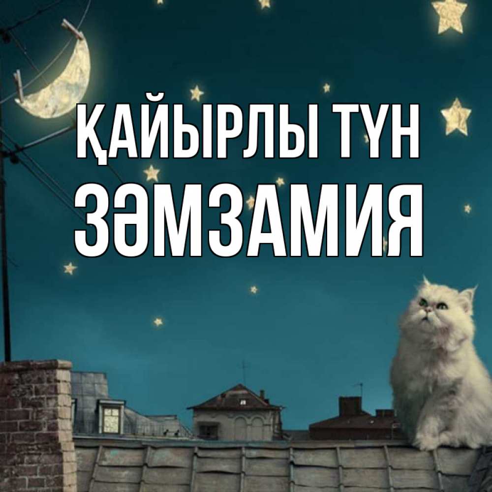 Күн сайын ашық хат с именем, ЗӘМЗАМИЯ Қайырлы түн белый кот сидит на крыше Онлайн тегін жүктеп алу тілектері бар керемет карта 