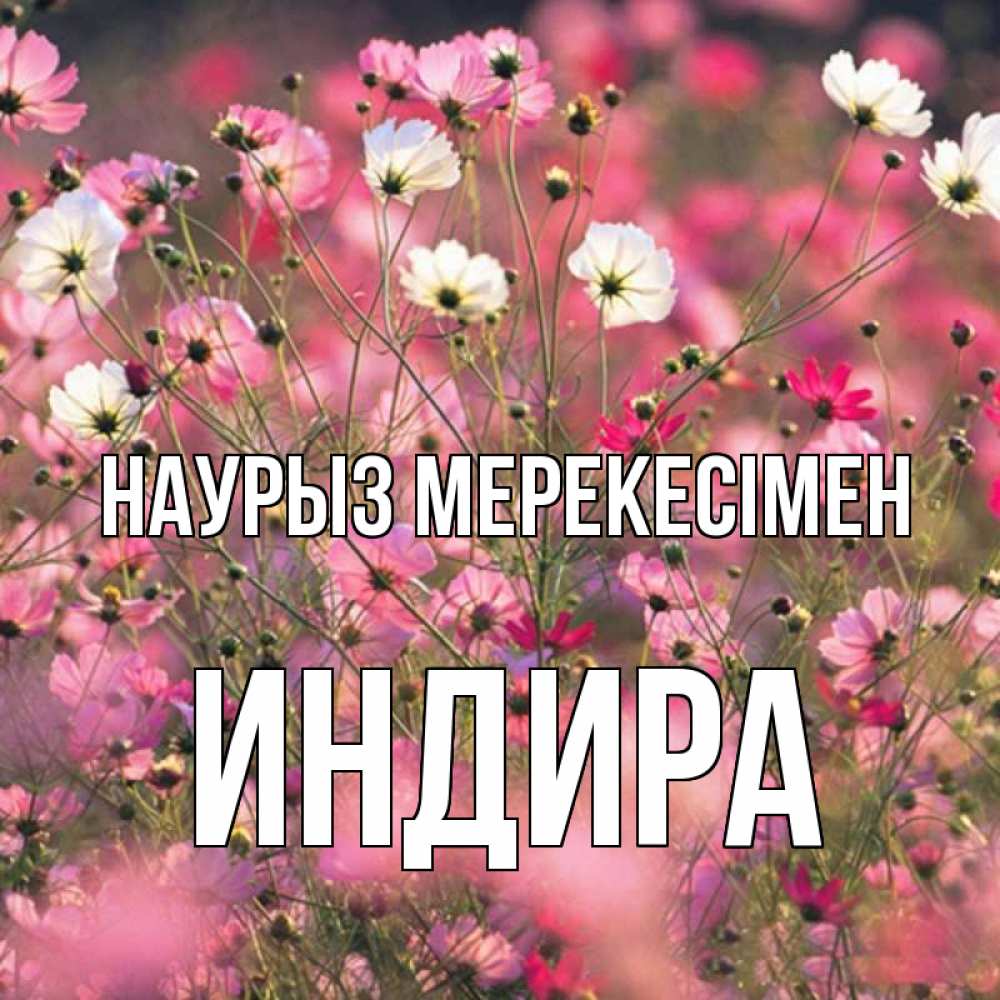 Күн сайын ашық хат с именем, ИНДИРА Наурыз мерекесімен красиво 1 Онлайн тегін жүктеп алу тілектері бар керемет карта 