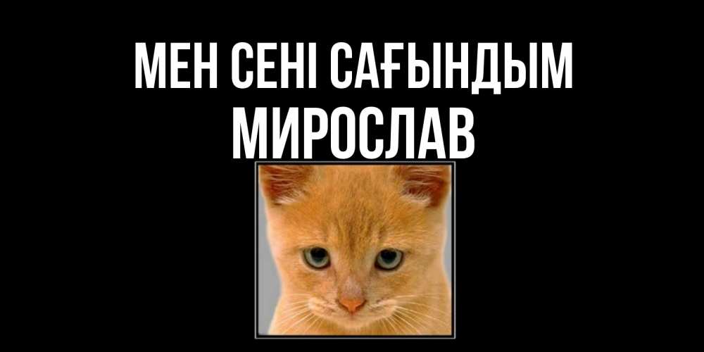 Күн сайын ашық хат с именем, Мирослав Мен сені сағындым открытки рыжий котенок скучает по тебе Онлайн тегін жүктеп алу тілектері бар керемет карта 