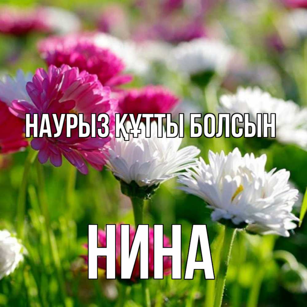 Күн сайын ашық хат с именем, Нина Наурыз құтты болсын наурыз Онлайн тегін жүктеп алу тілектері бар керемет карта 