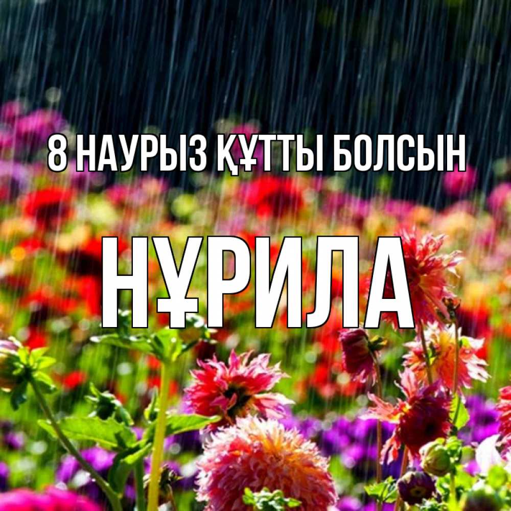 Күн сайын ашық хат с именем, НҰРИЛА 8 наурыз құтты болсын цветы под дождиком к международному женскому дню Онлайн тегін жүктеп алу тілектері бар керемет карта 