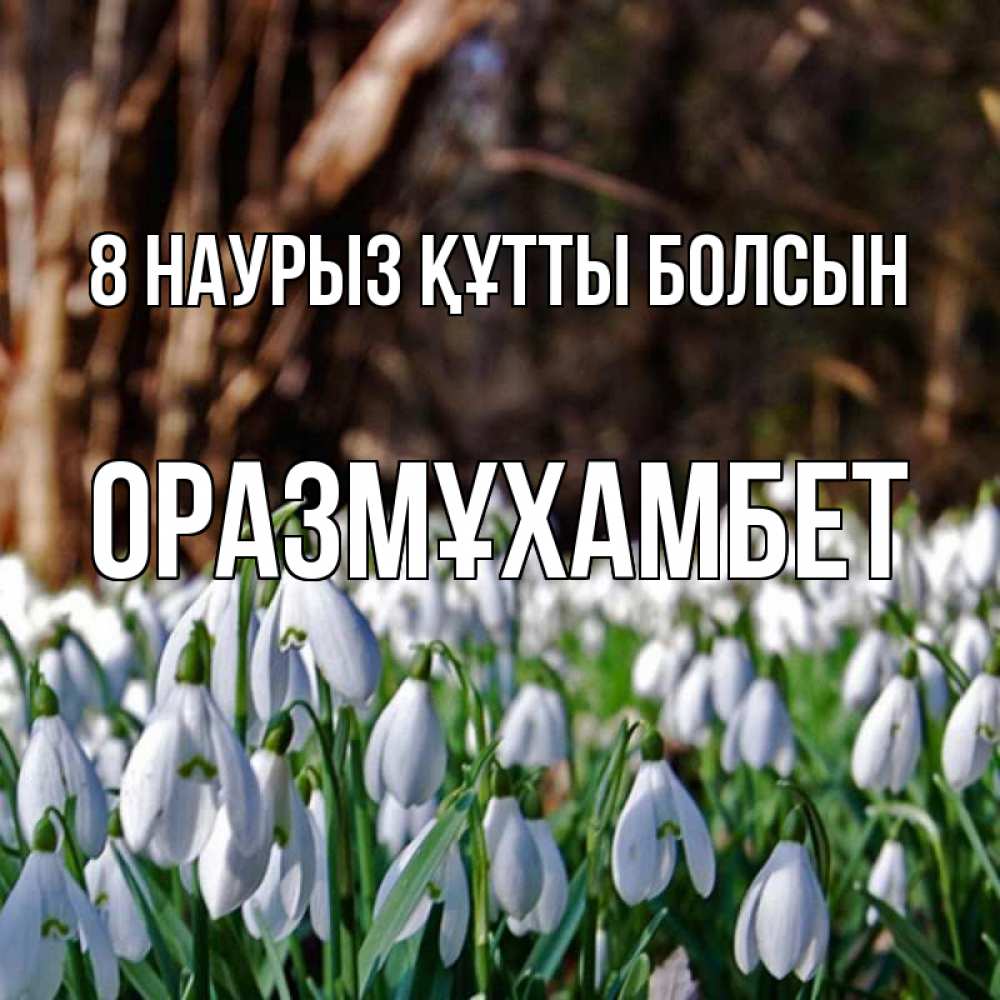 Күн сайын ашық хат с именем, ОРАЗМҰХАМБЕТ 8 наурыз құтты болсын с подснежниками 1 Онлайн тегін жүктеп алу тілектері бар керемет карта 
