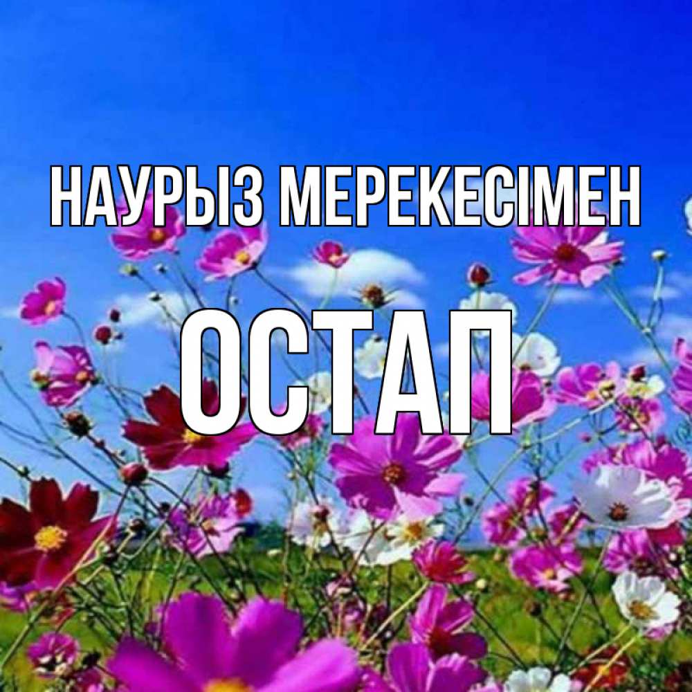Күн сайын ашық хат с именем, Остап Наурыз мерекесімен цветы Онлайн тегін жүктеп алу тілектері бар керемет карта 