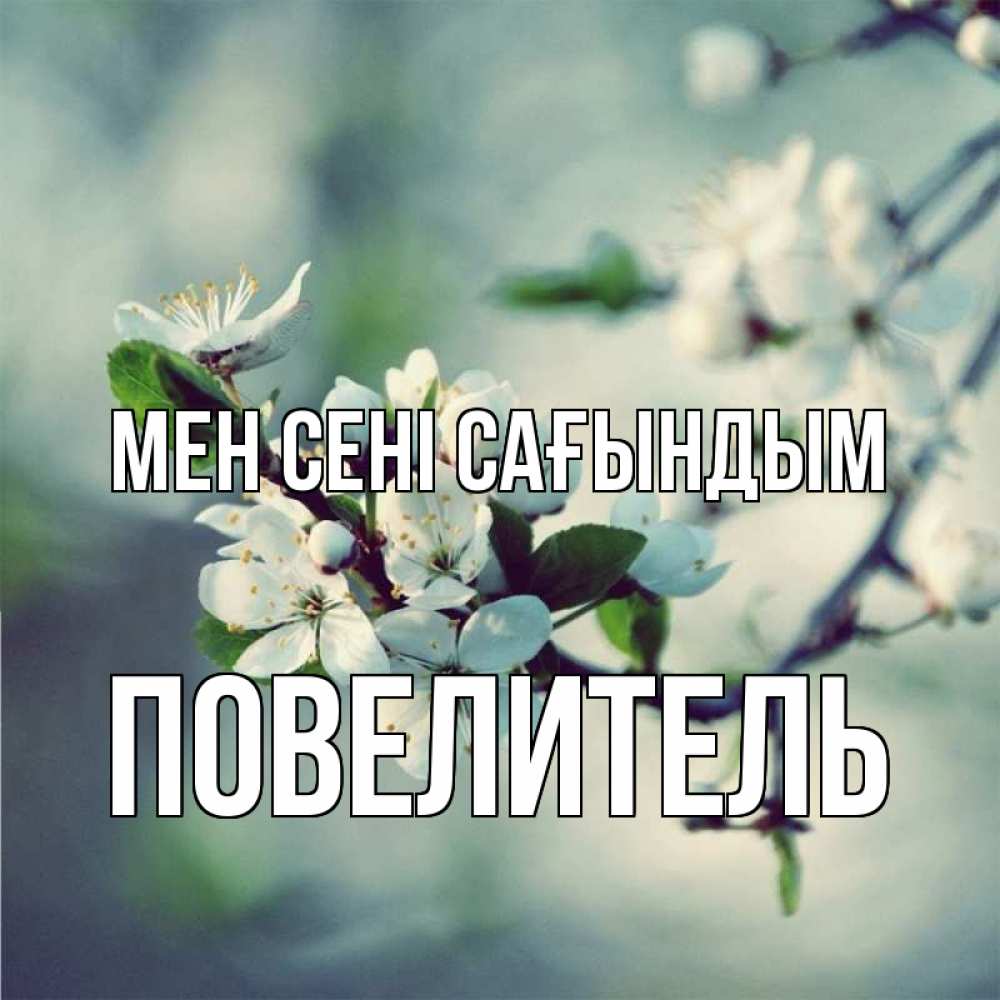 Күн сайын ашық хат с именем, Повелитель Мен сені сағындым весна Онлайн тегін жүктеп алу тілектері бар керемет карта 
